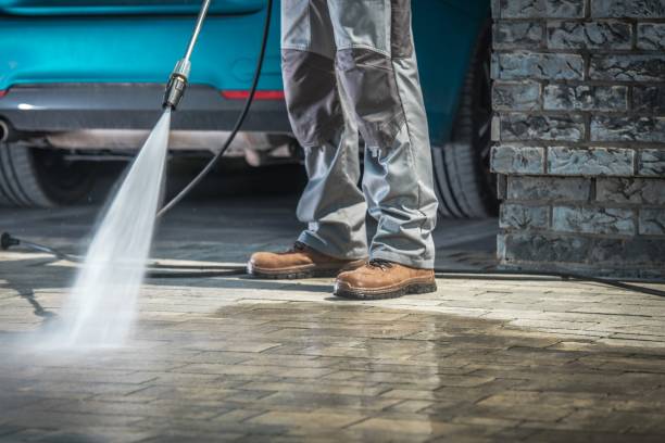 Best Sidewalk and Walkway Cleaning  in Headland, AL