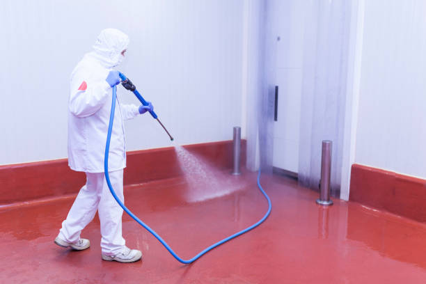 Best Spring Cleaning  in Headland, AL